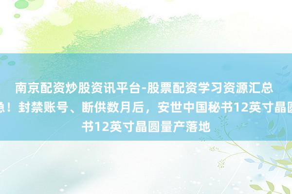 南京配资炒股资讯平台-股票配资学习资源汇总 荷兰有点急！封禁账号、断供数月后，安世中国秘书12英寸晶圆量产落地